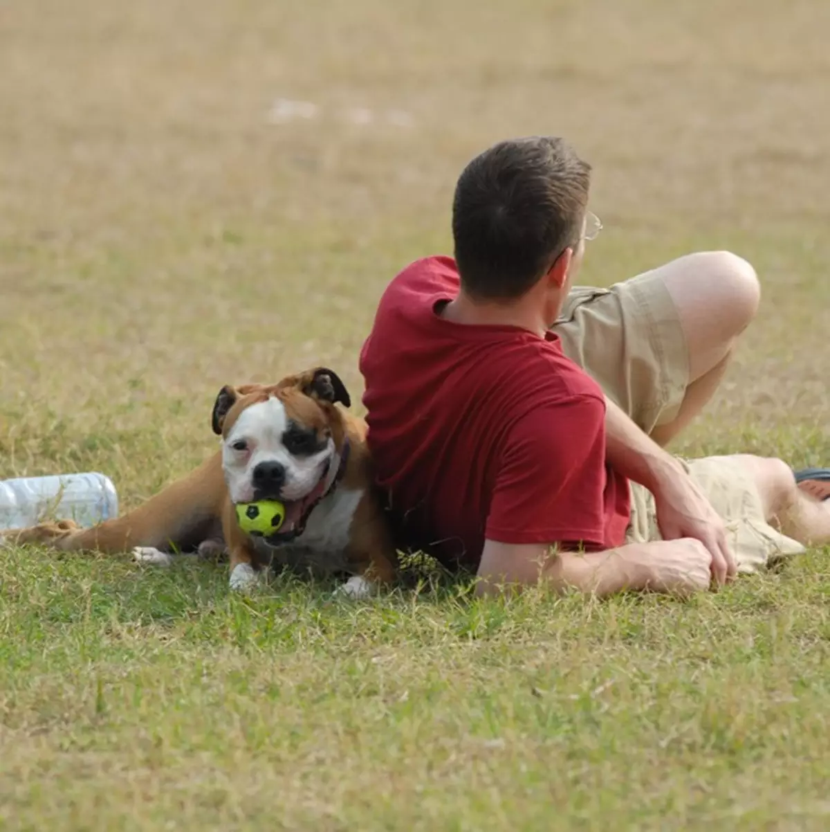 養狗請先認識狗狗的行為