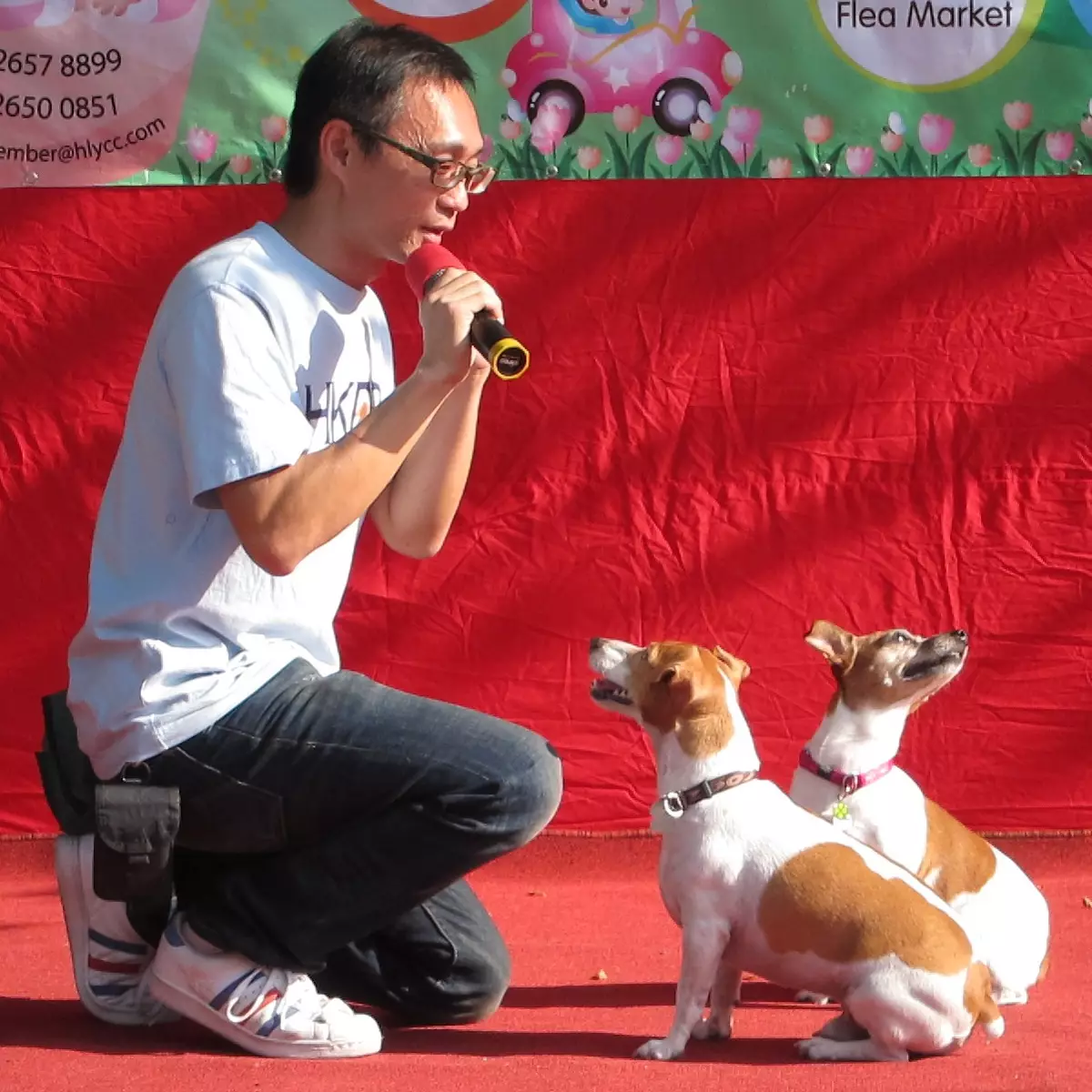 你真正在獎勵你的狗嗎？