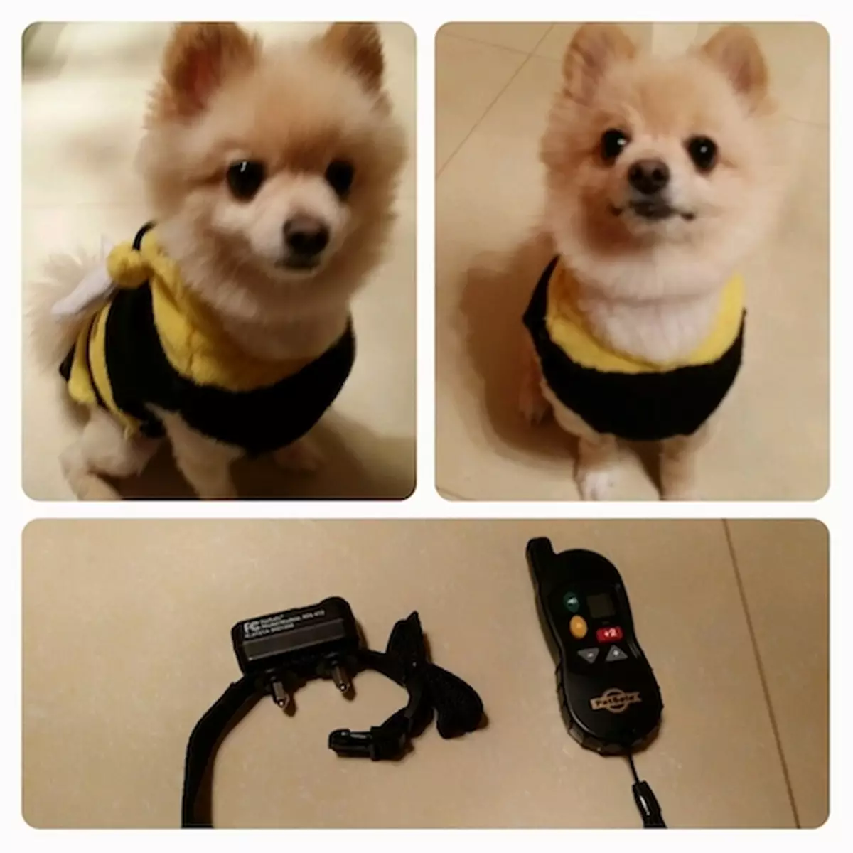 攻擊行為真的沒辦法改變嗎？