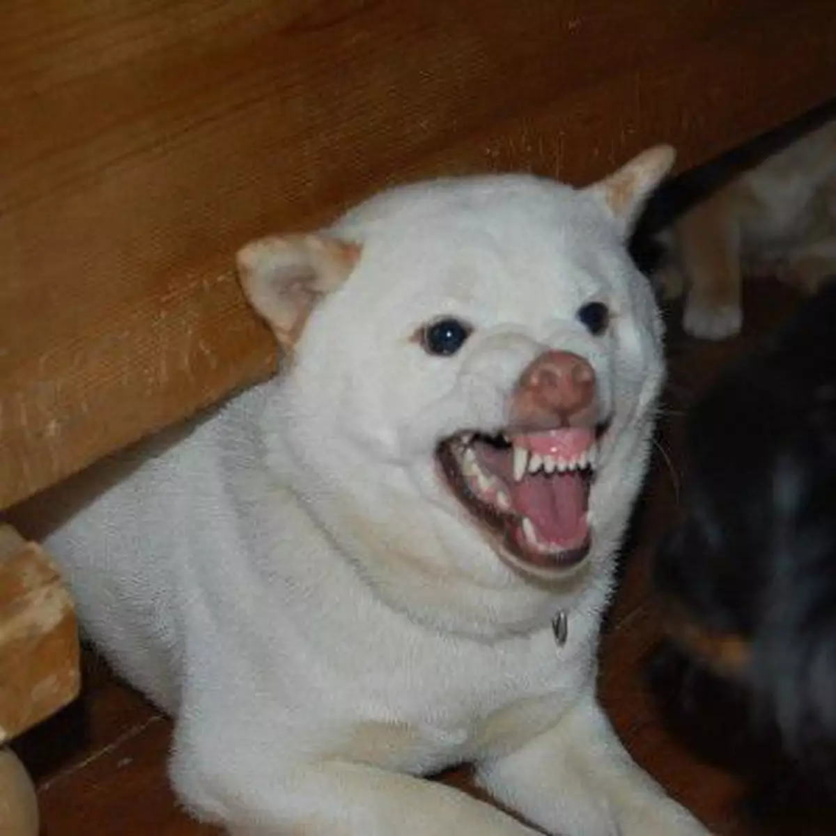 說服力不是單靠講說話