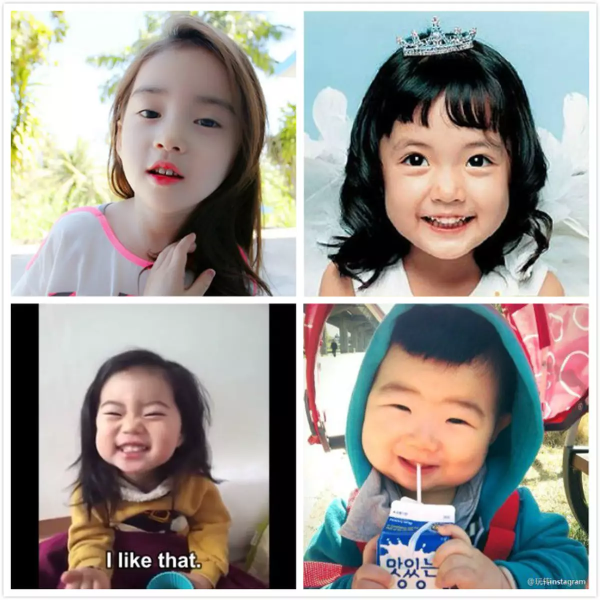 南韓小萌童逐個捉