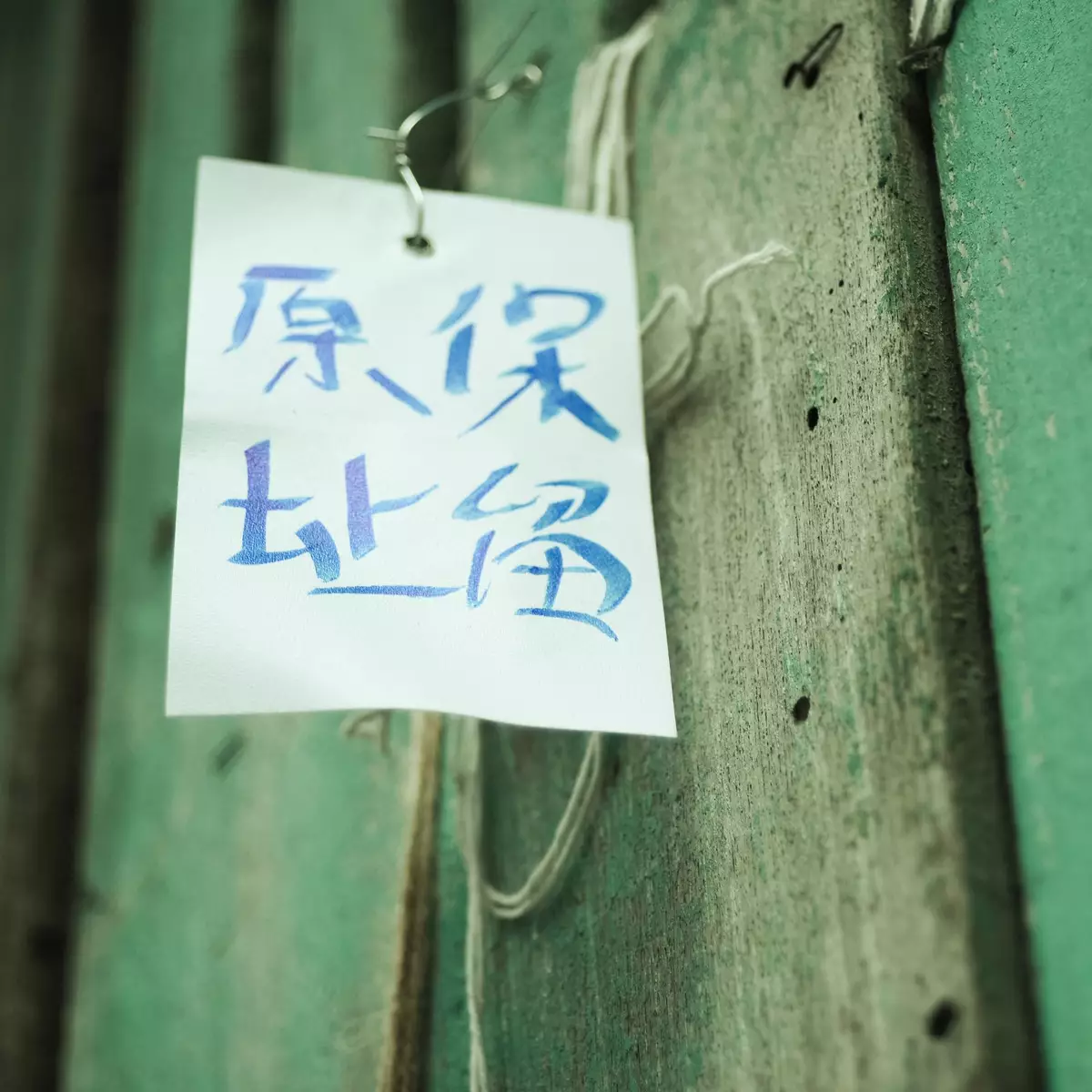 走進廢墟攝影分享