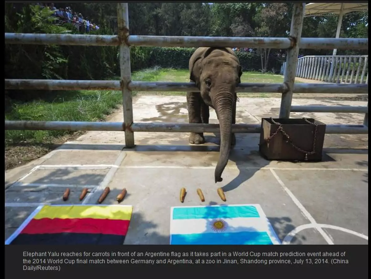 世界盃賽後解碼