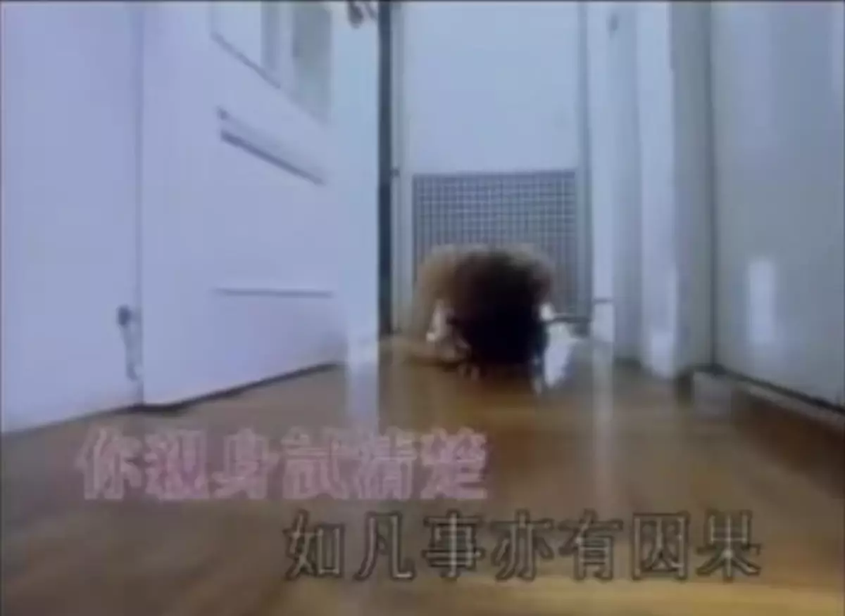 不敢（再）說國際標準