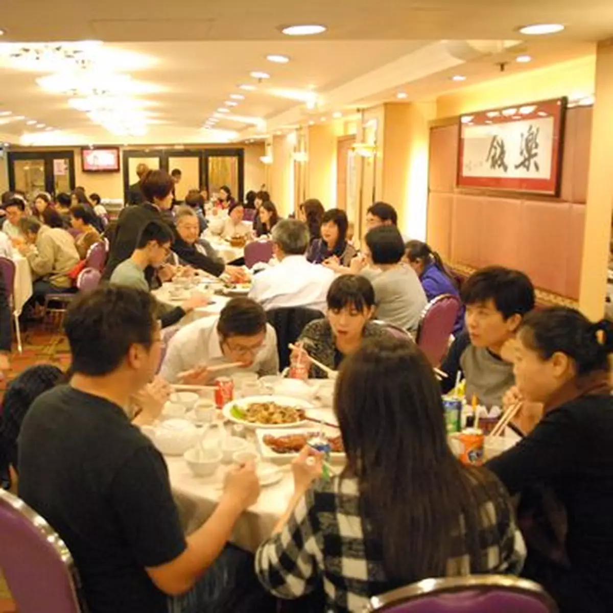 兩電減價 食肆：有得減好過無