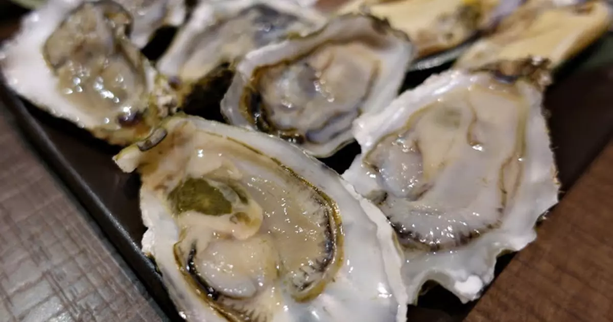 Staice~又黎火山石燒燒燒