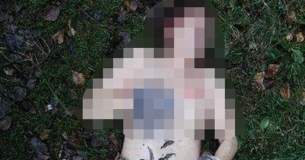 「食人魔」出沒？！俄羅斯女屍胸部小腿肉被割