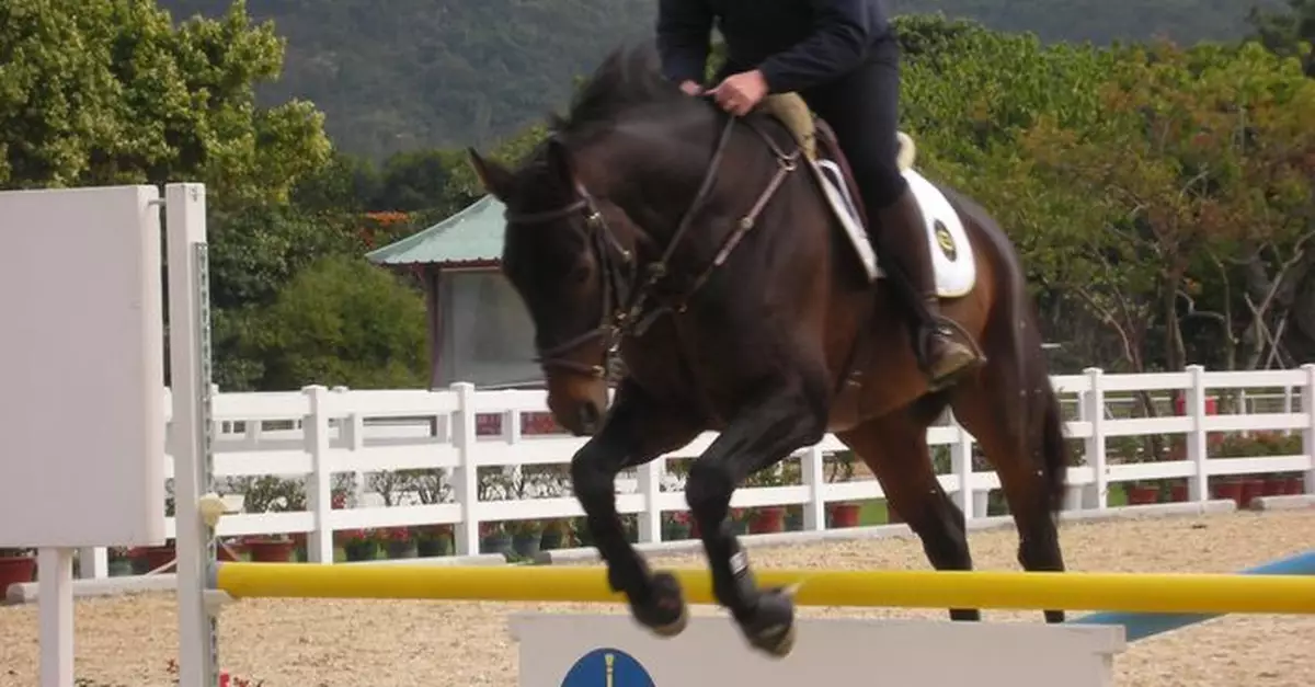 青少年馬術隊成員被性騷擾 馬會解僱騎術教練