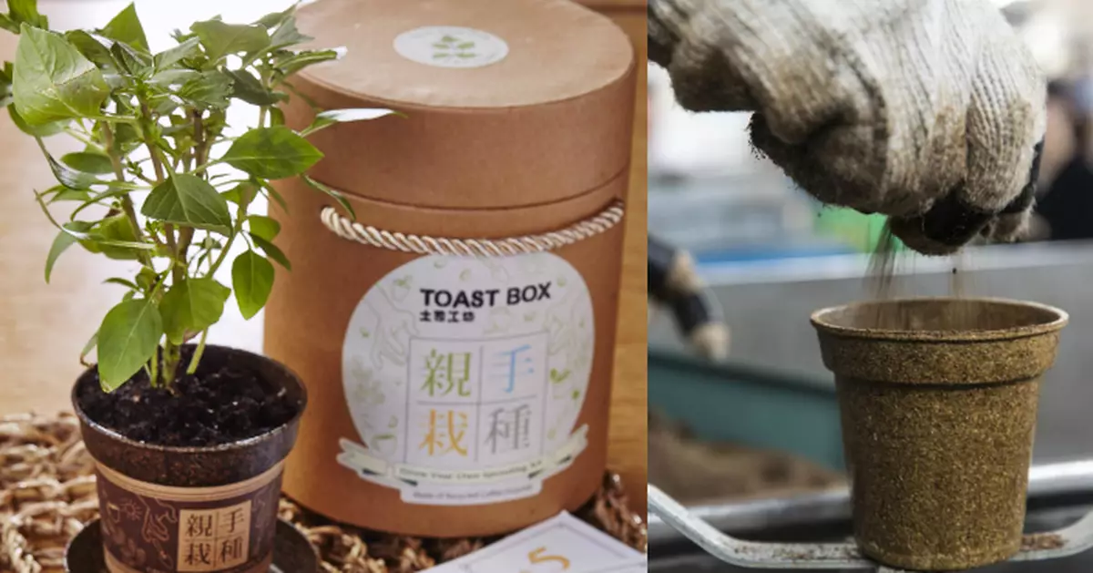 咖啡渣變小花盆　升級再造實踐「零廢」生活