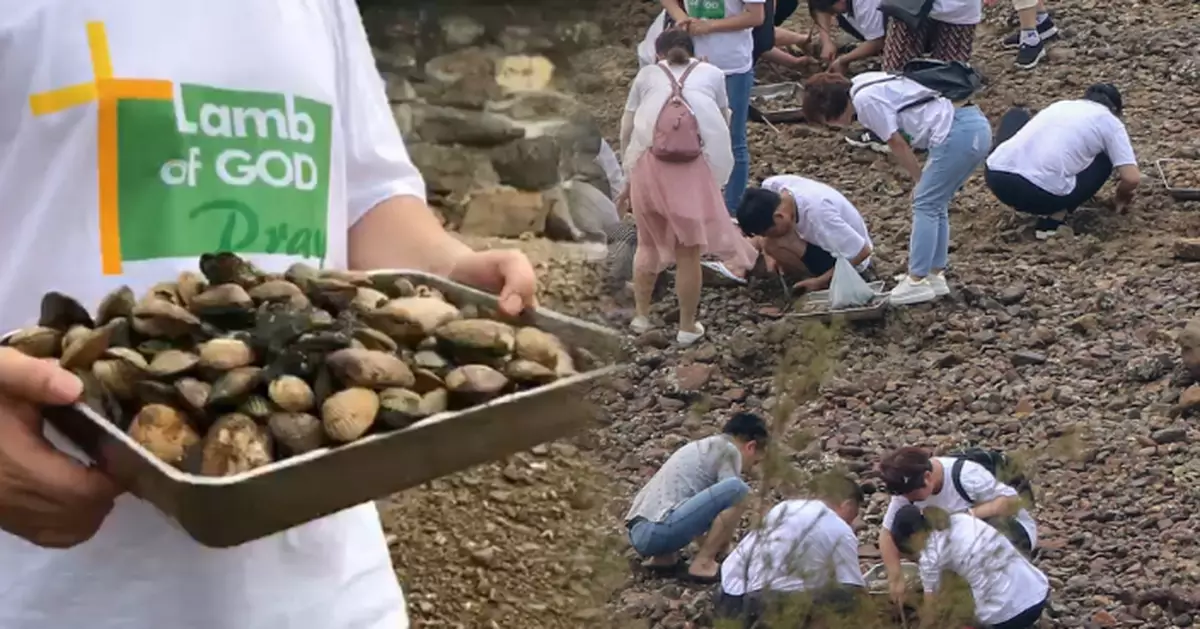 半百內地教友烏溪沙掘蜆 市民轟:知道牠們是生命嗎？