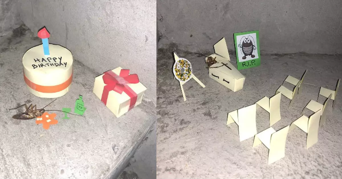 後樓梯見小強屍 網民發揮創意玩足一個月