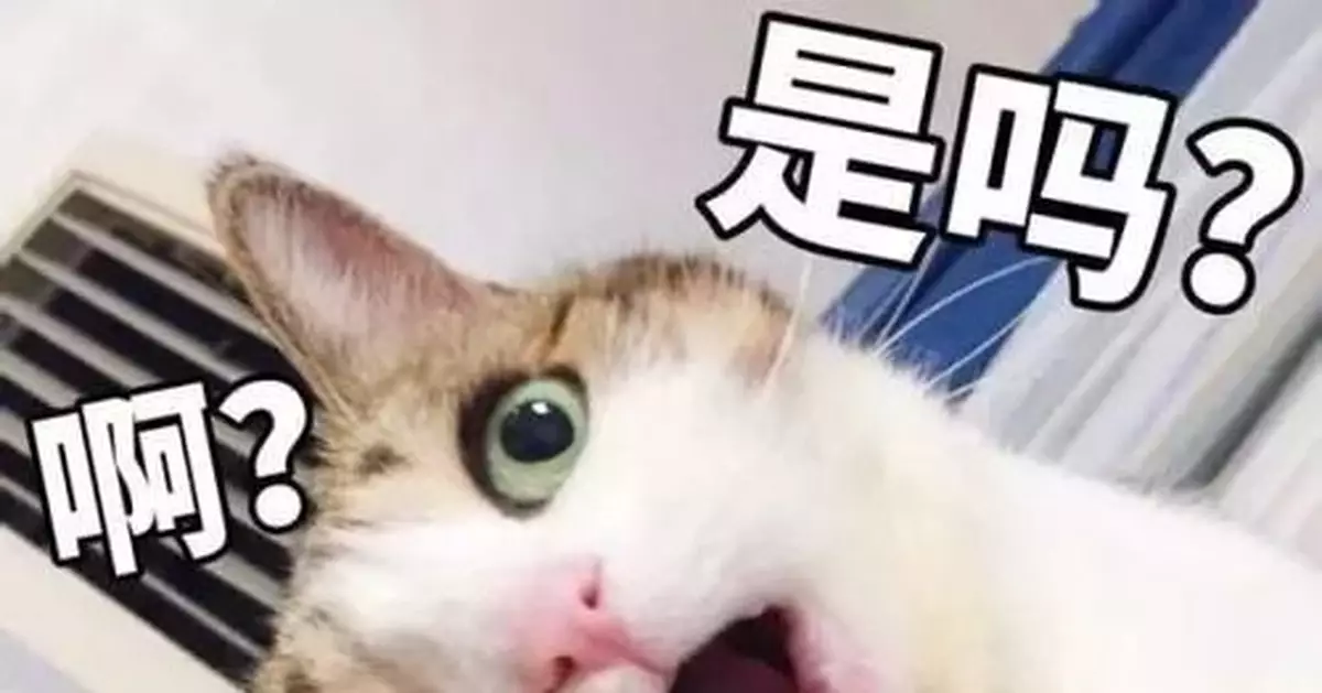 男子偷走數十部手機，還跑去派出所問案情