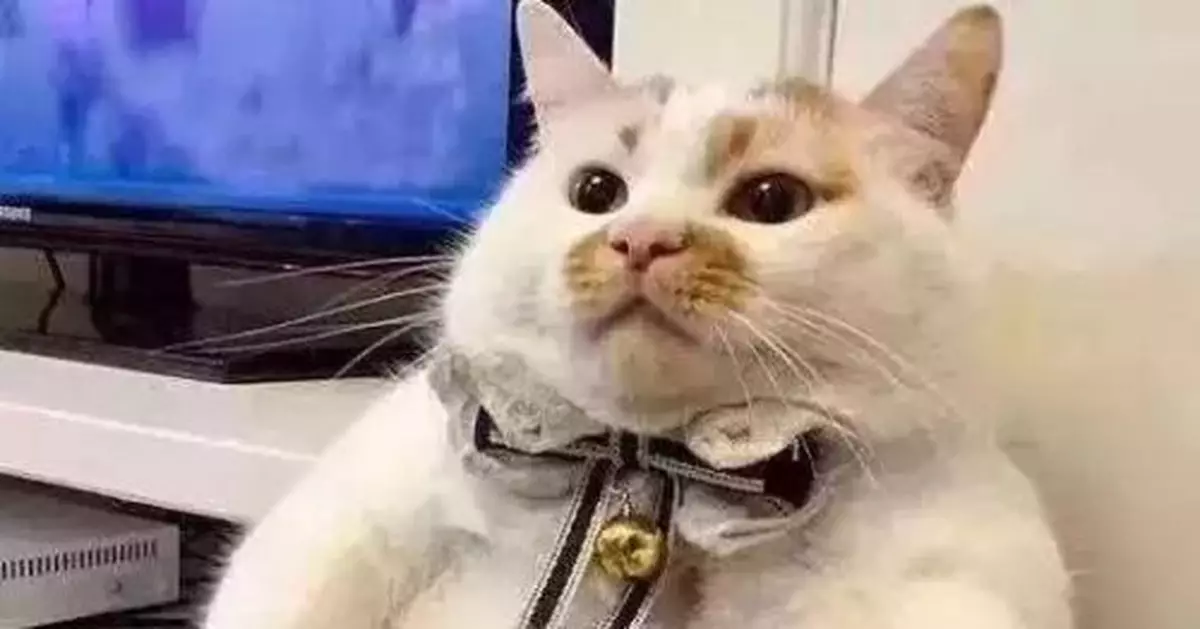 全班放假前稱體重，要是過年回來胖了…