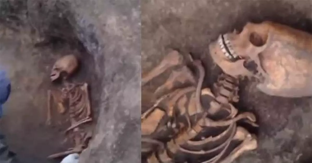 俄羅斯挖到外星人蛋型頭骨？專家曝光驚人發現