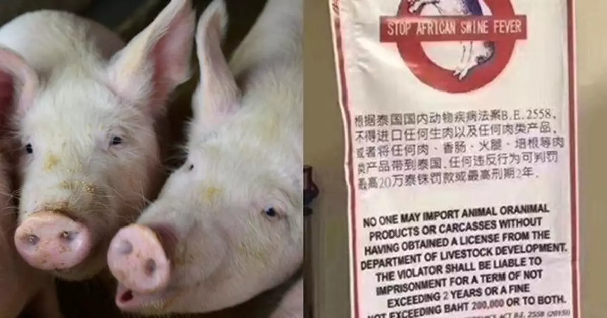 泰國禁帶豬肉入境 違者罰5萬港元囚兩年