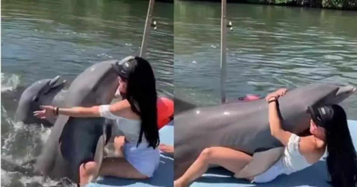 興奮海豚強壓上身 性感女模受不了尷尬慘叫