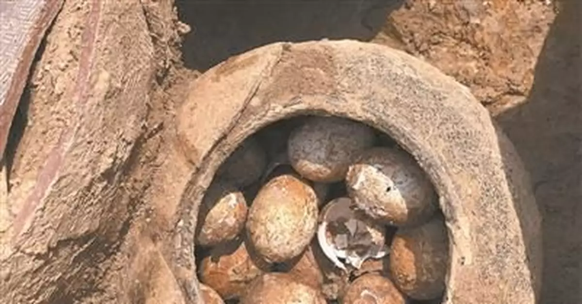 2500年前古墓挖出春秋時期雞蛋 滿滿一罐(圖)