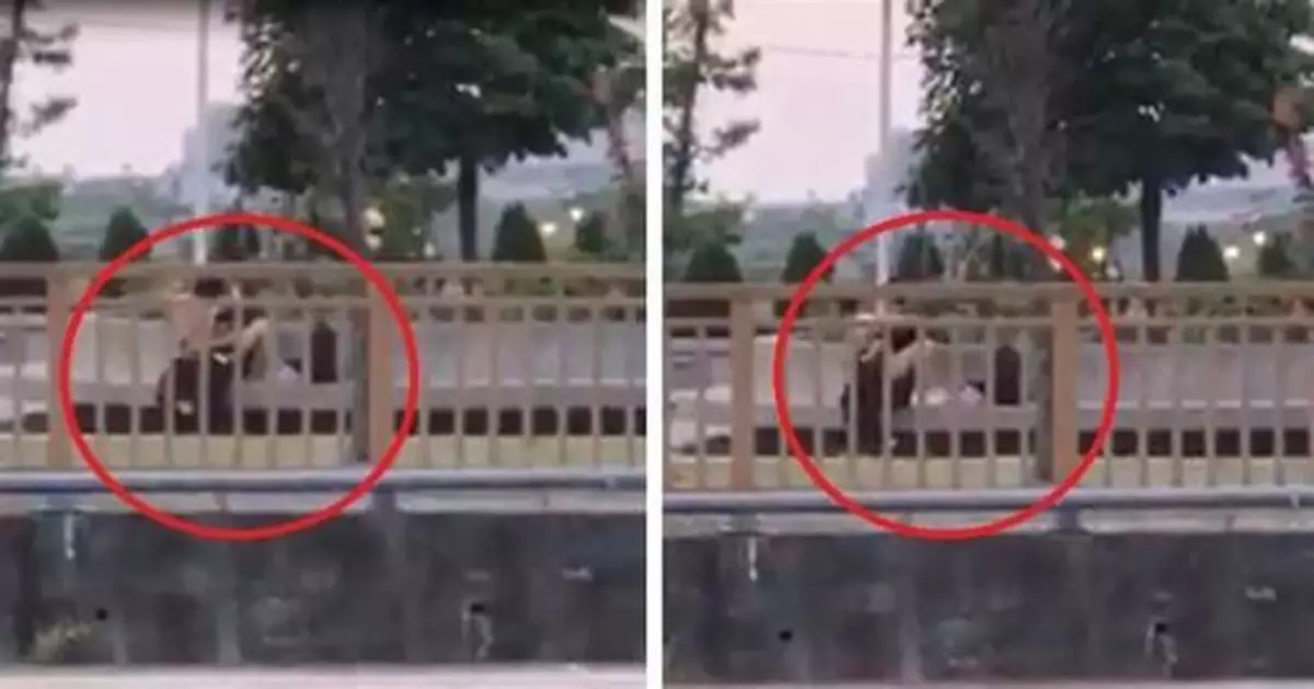 太扯！一對男女竟在眾目睽睽下交疊激烈野戰