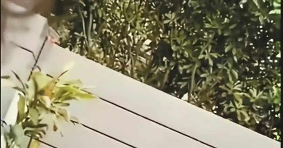 童模市場揭秘：月入兩三萬 「紅的孩子」一年掙套房