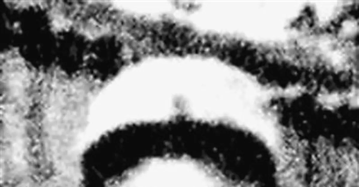 符竹庭：軍政兼優 抗日英雄