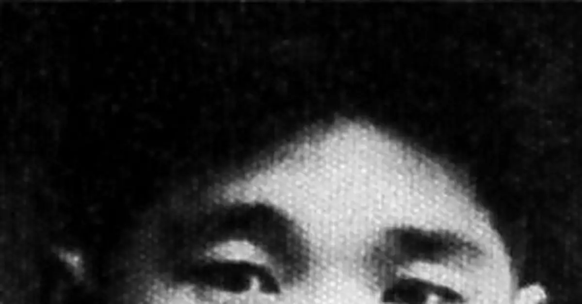 張洪儀：微山湖邊 英勇抗敵