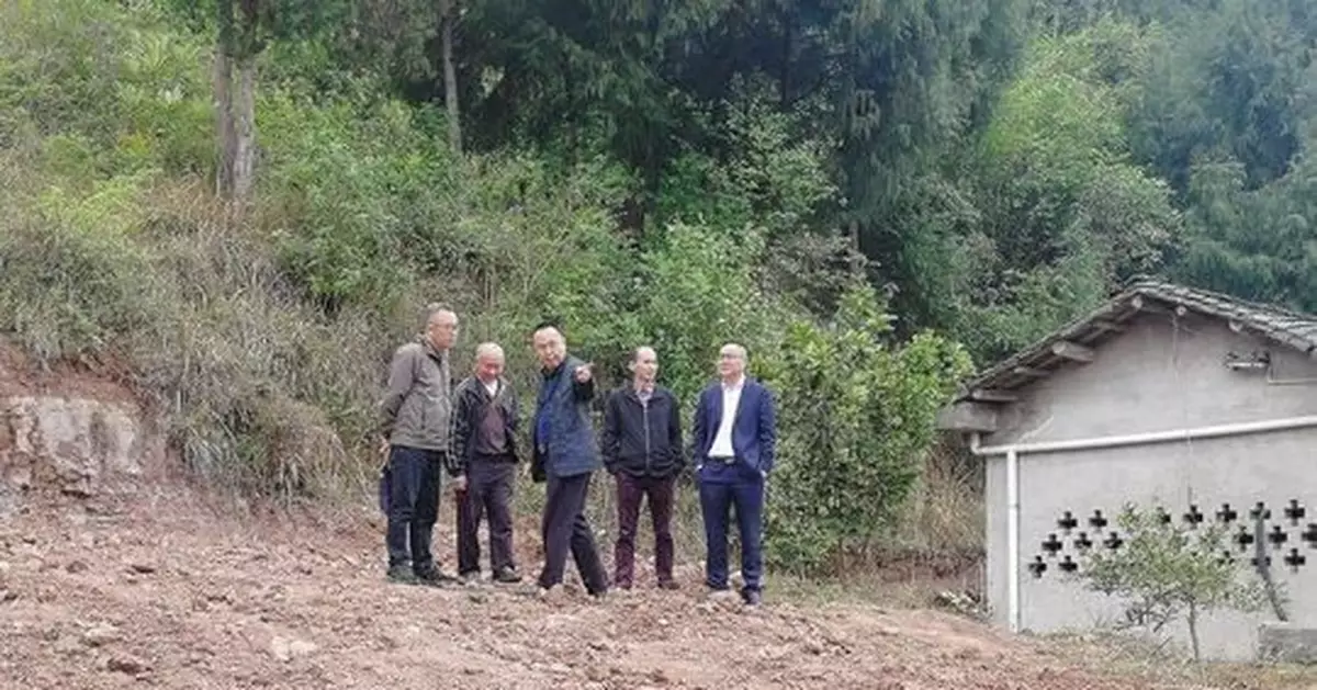 5層豪華活人墓遭拆除復耕種綠豆 村民曾投訴半年