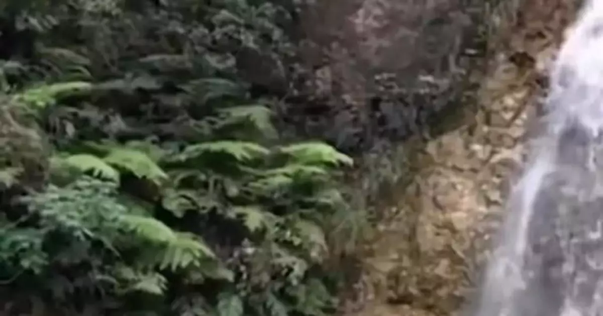 外國遊客在中國景區游泳，網友：丟人丟到國外了