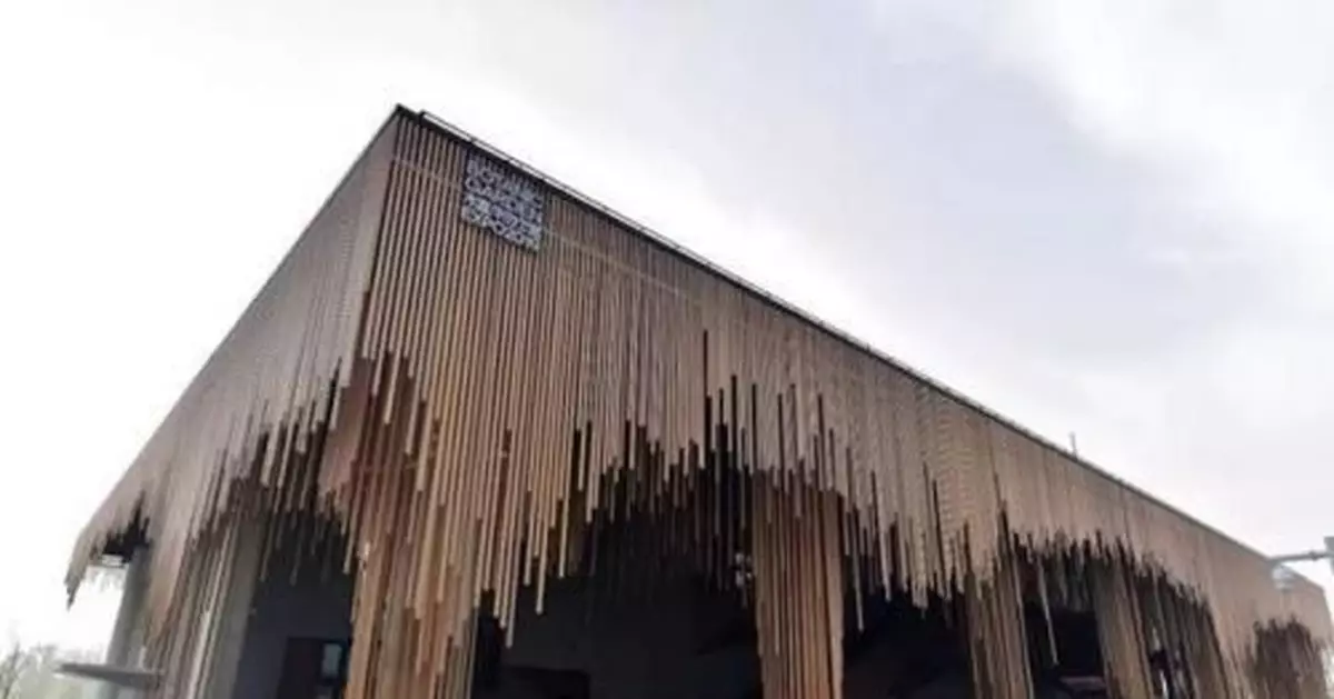 什麼樹最高？什麼樹會「武術」？植物也有大智慧