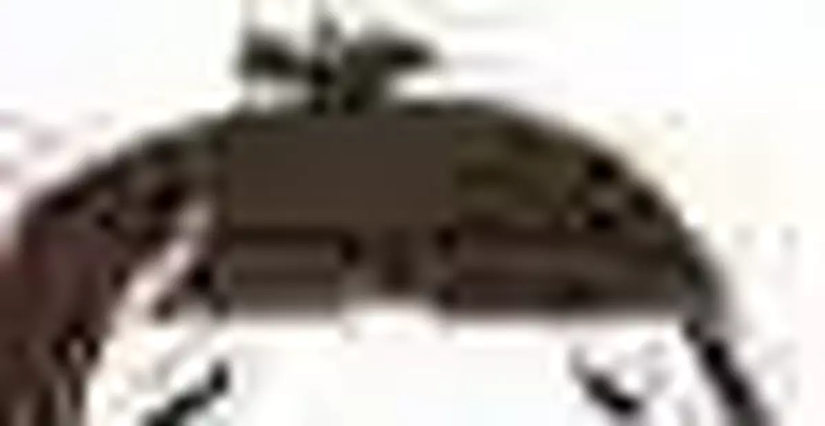 「剎車剎車！」副駕絕望五連吼，司機反問：哪個？