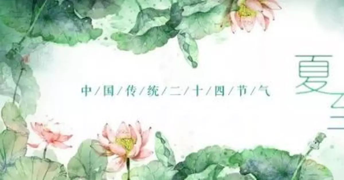 今日夏至，向陽而立，擁抱繽紛！