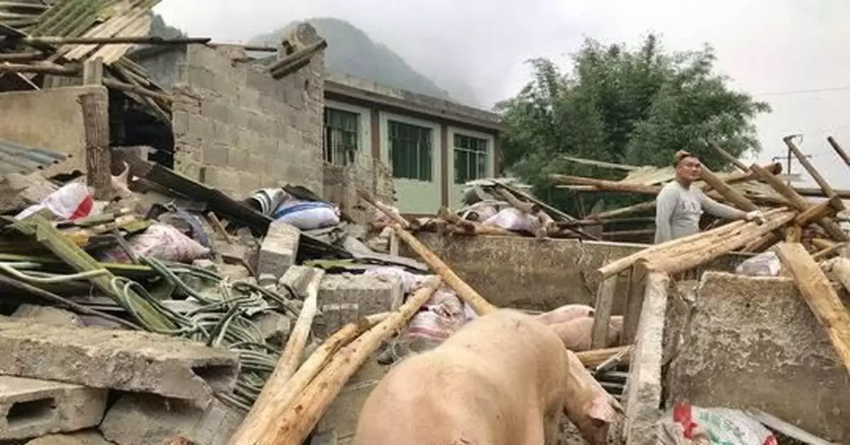 地震致300多頭豬被埋 消防員與村民營救「二師兄」
