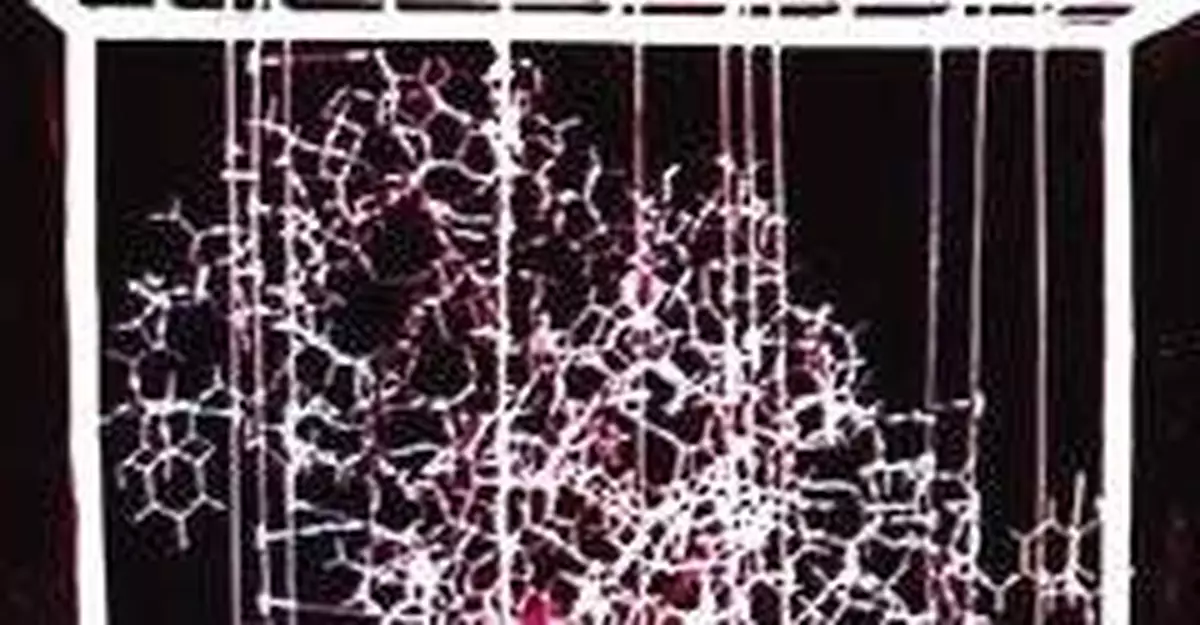 揭秘1965年中國人工合成胰島素險獲諾貝爾獎真相