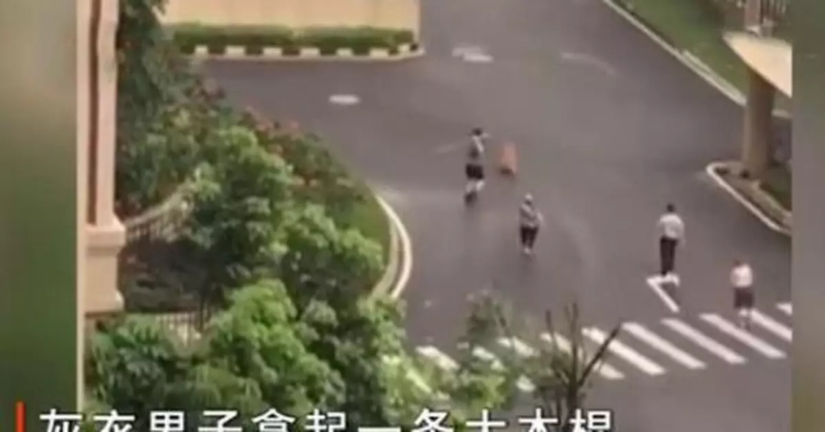 「打死金毛犬」事件雙方都未拴自家狗 責任如何劃分?