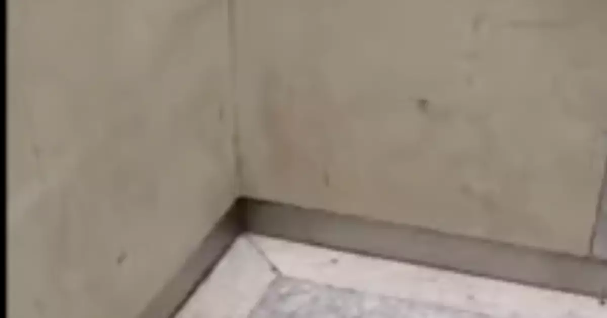 女外賣員電梯內撒尿？ 物業：疑似水杯內水灑出