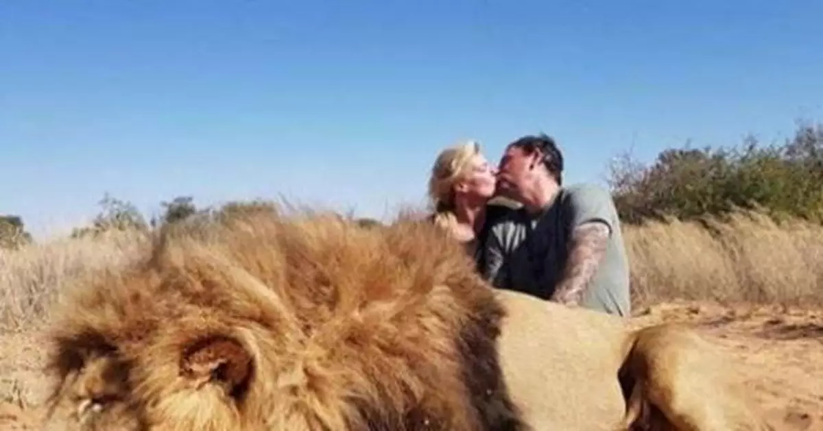 獵殺巨獅 變態夫妻竟在屍體旁…