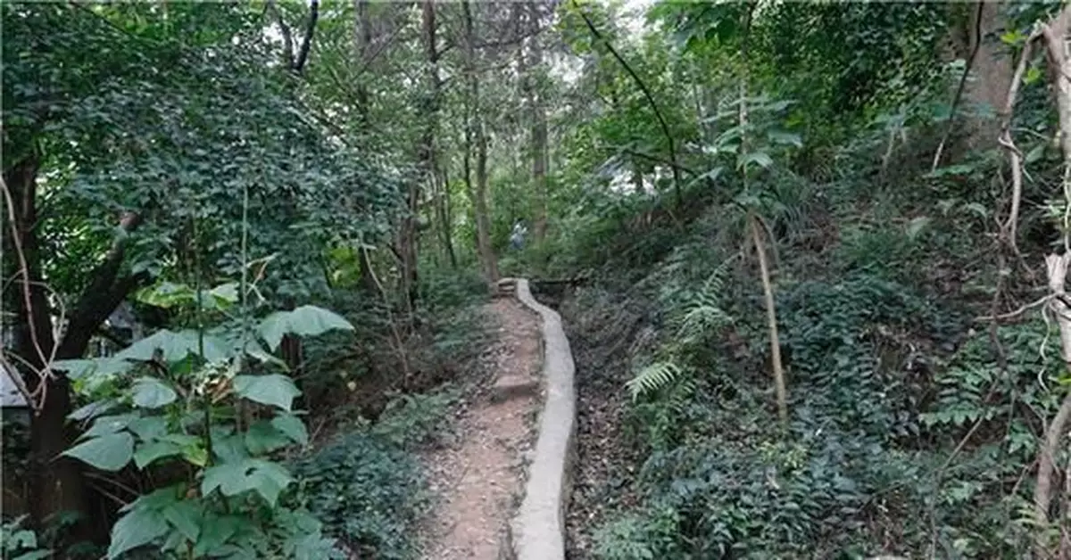 重慶歌樂山發現恐龍化石！類型屬我國首次發現