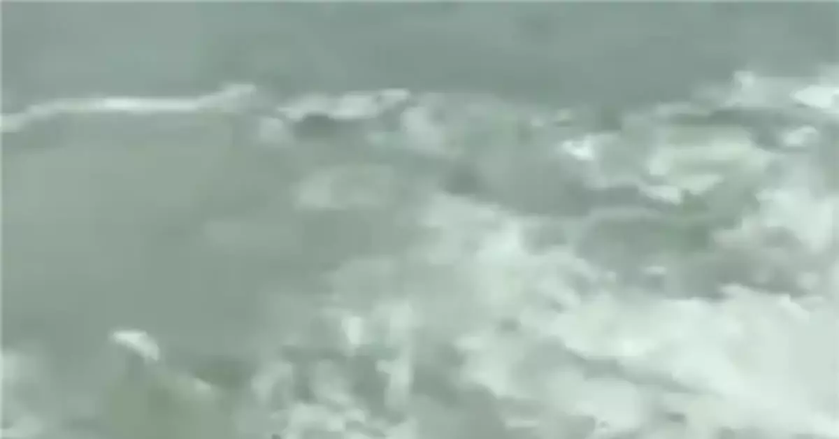 一家四口出遊拍照出意外 兒子落海父親去救遇難