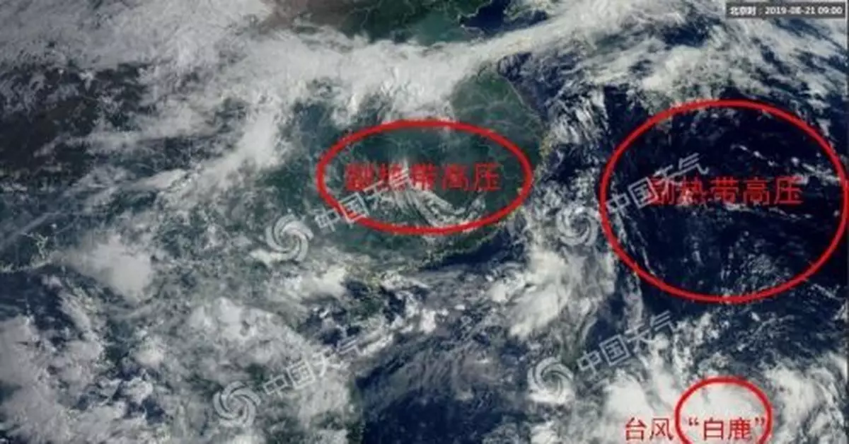 「新手」颱風「白鹿」生成 周末可能登陸華南沿海