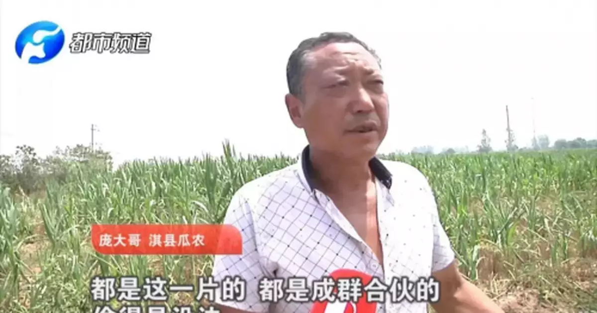 瓜農拽倒偷瓜者反賠300,警方「和稀泥」?最新回應來了