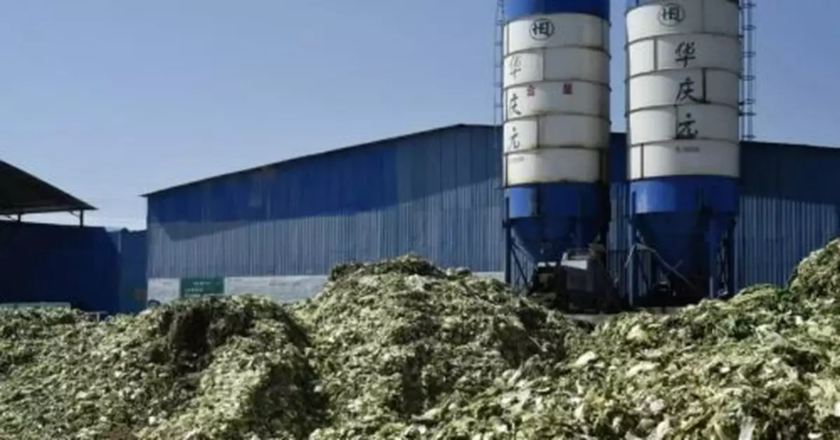 菜庫變成垃圾場，10年治理成效不彰！