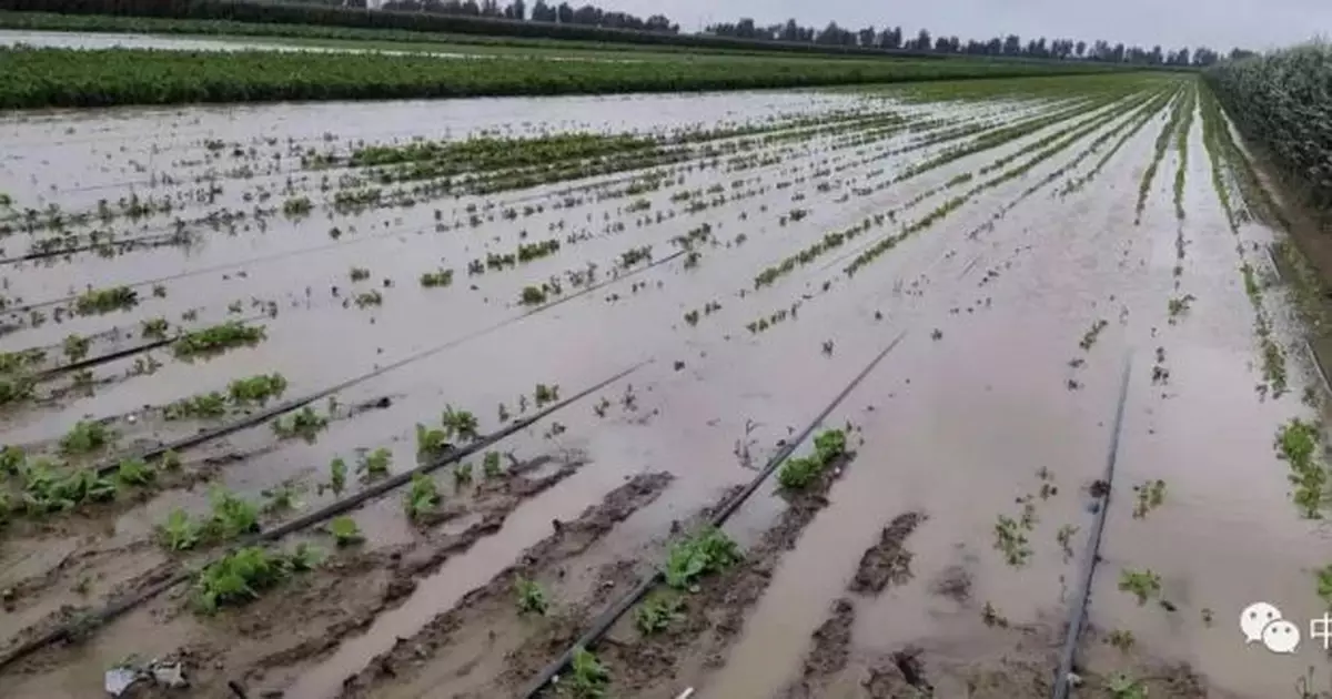 颱風「利奇馬」致530餘億元直接經濟損失