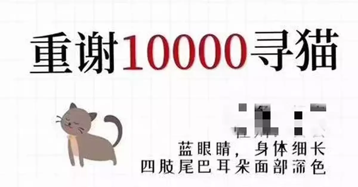 重賞一萬元尋貓!貓找到了,接下來的故事卻讓小區炸鍋