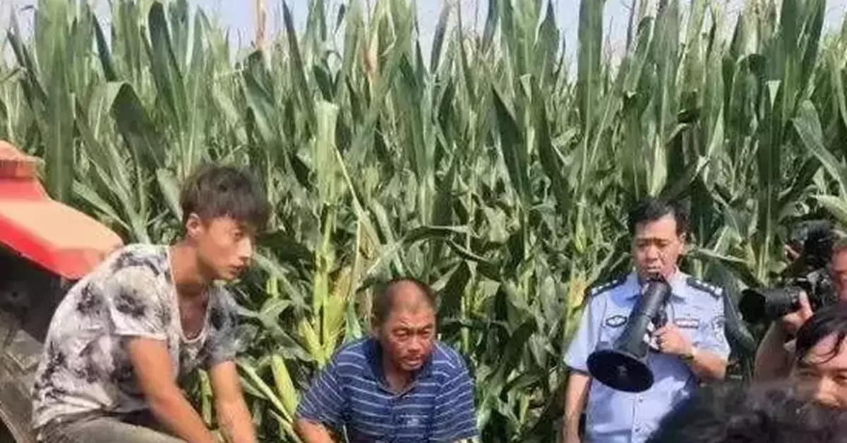 馬戲團老虎出逃背後:無馴養資質 狗熊身上現傷口