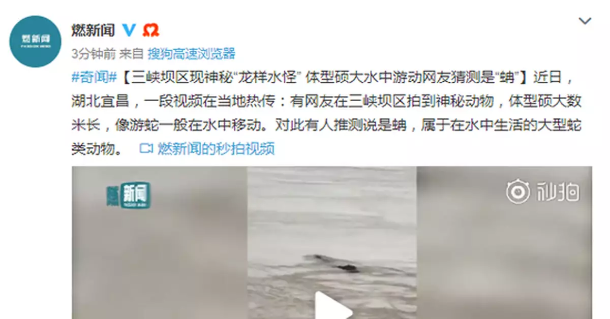 三峽壩區現神秘「龍樣水怪」 體型碩大水中遊動