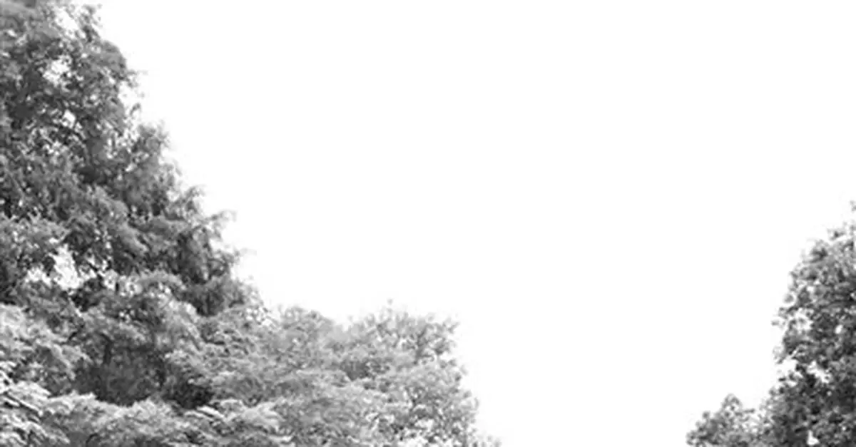 「西湖撈哥」國慶6天撈20多部手機 神器曾獲國家專利