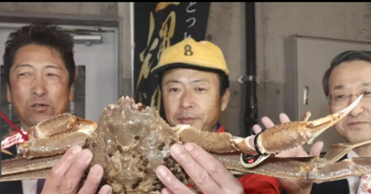 日本一螃蟹拍出500萬日元高價 破健力士世界紀錄
