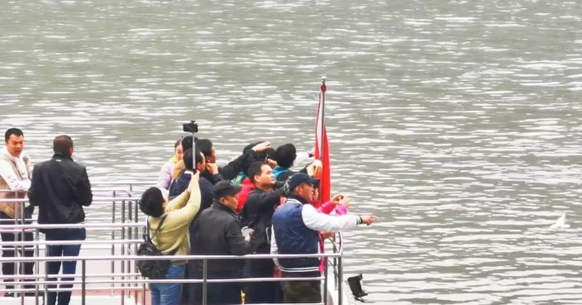 四川樂山大佛景區遊船乘客不穿救生衣？官方回應