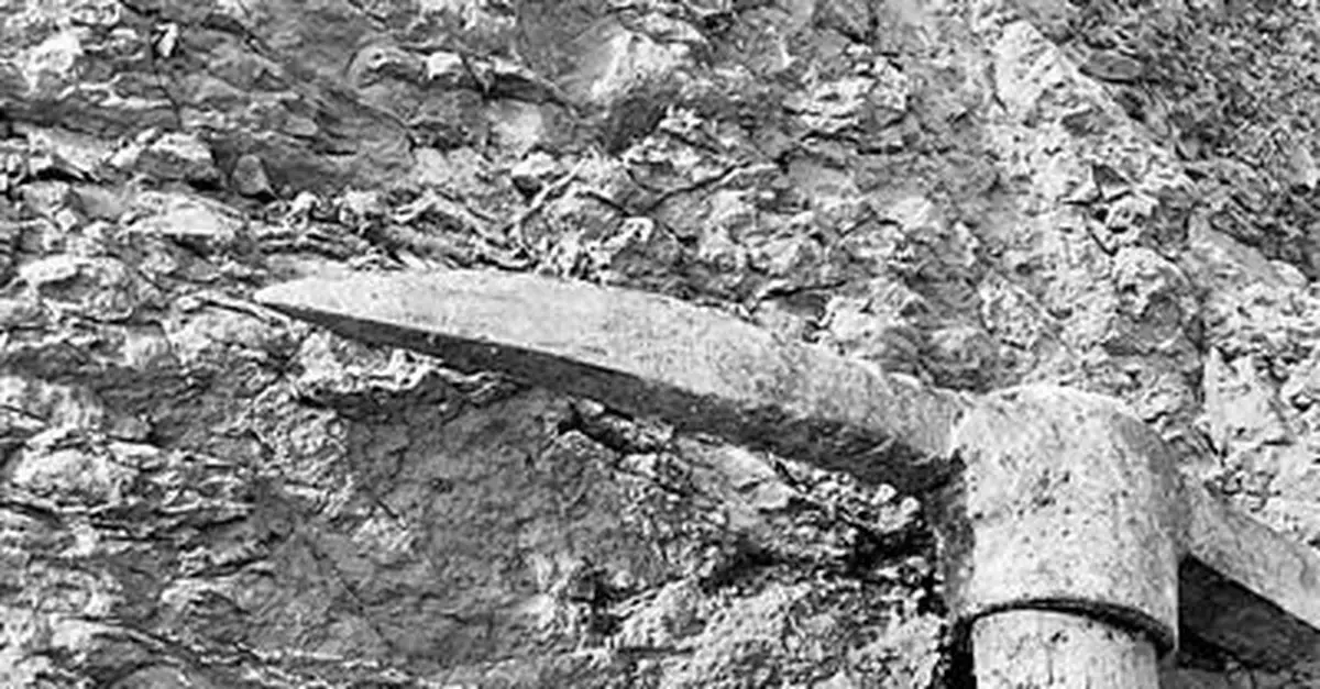 黑龍江首次發現大面積白堊紀恐龍足跡群