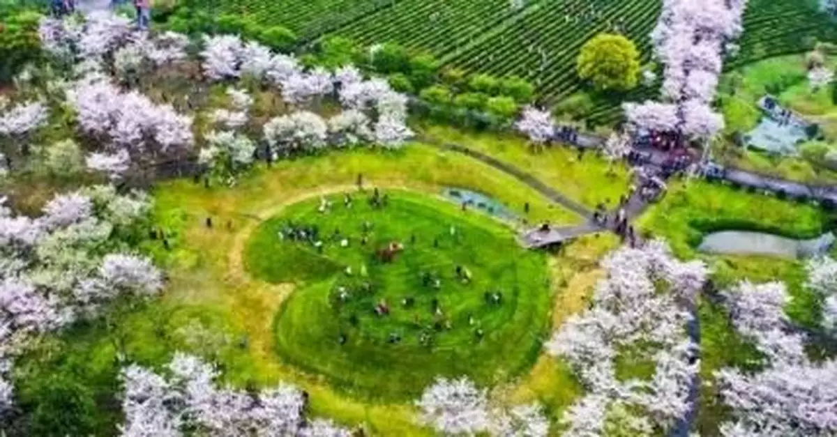 走！坐上這趟高鐵，不僅能欣賞風景，還能看到歷史