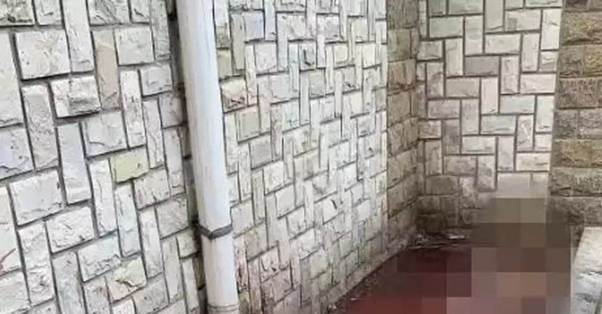 嚇人!業主發現小區雨水管往下淌血水 現場觸目驚心